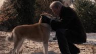 Hachi: A Dog's Tale (2009) | Image Source: Sony Pictures